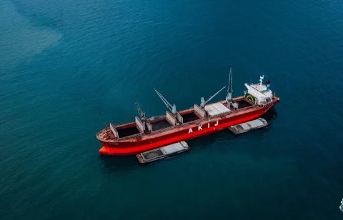 Dry Bulk Taking A Gamble By Relying On China
